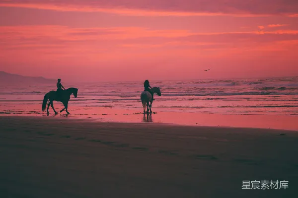 高清摄影 两人在海边骑马