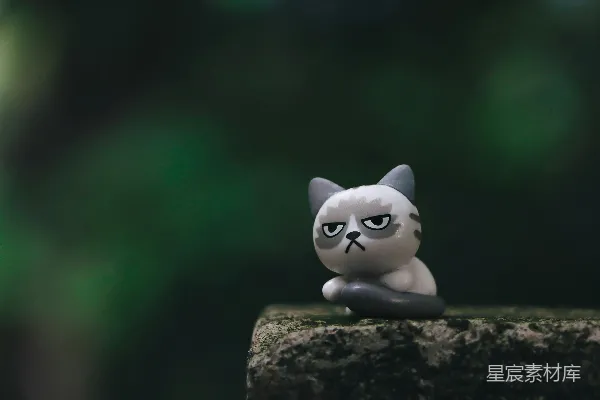 高清摄影 白色的猫摆件在棕色的岩石上