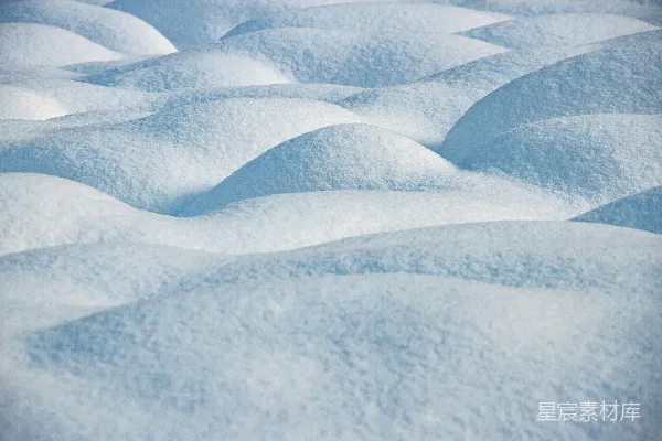一片覆盖着白雪的地面上的特写镜头