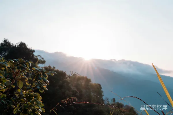山间树木沐浴在阳光下