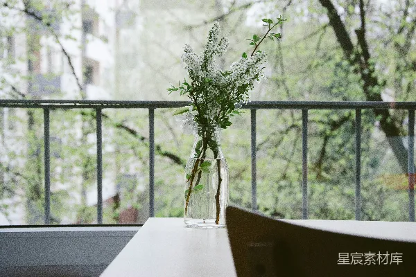 浅聚焦摄影中白花置于透明玻璃花瓶上