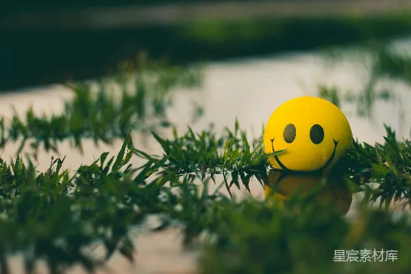 高清摄影 一个带有笑脸图案的黄色球坐在草地上。