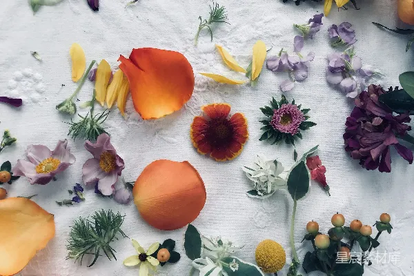 高清摄影 各色花卉装饰