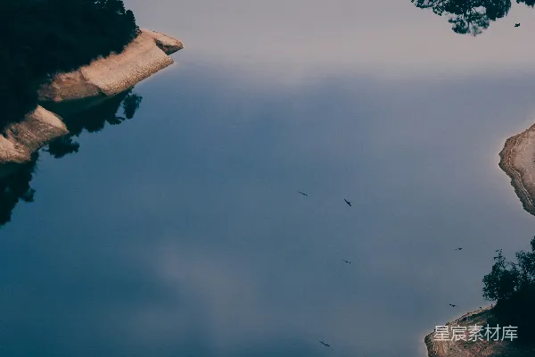 水面倒映的树木