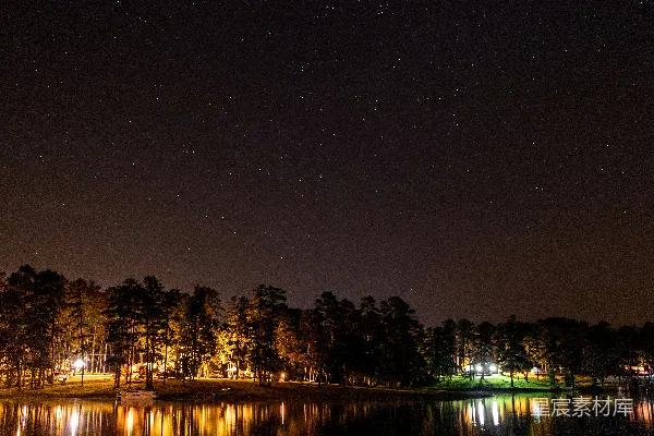 夜间树丛附近的水域