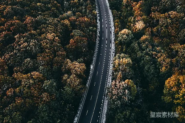 高清摄影 树木之间的道路航拍