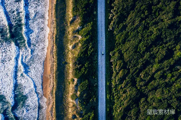 高清摄影 白天拍摄的树木和海浪之间的混凝土道路的航拍照片