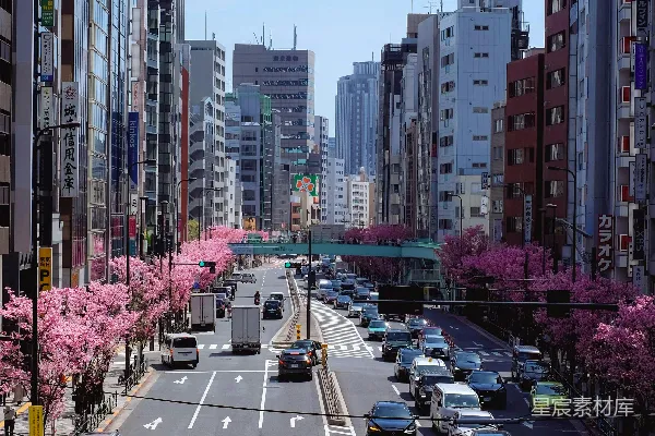 一条街道两旁排列着高大的建筑物和停放的汽车