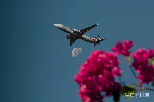 高清摄影 天空中飞着一架飞机，前景中有一些粉红色的花朵。