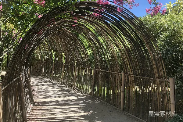 棕色木桥上绿植环绕