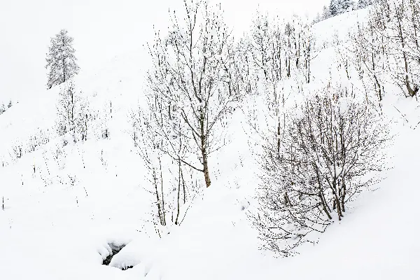 一个男人骑着滑雪板滑下覆盖着白雪的斜坡