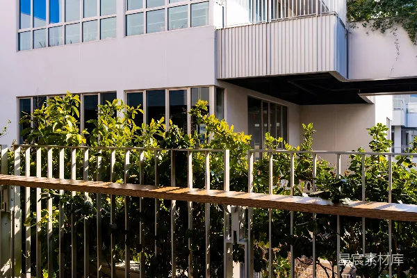 绿植在金属栅栏和建筑后面。