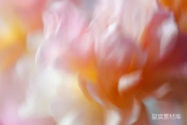 软调抽象的粉红和橙色花朵