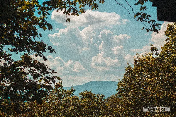 森林中俯瞰的一片山峦美景