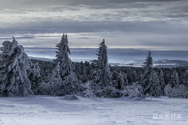 背景中有树木和山的雪景