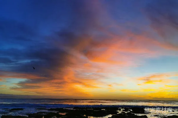 一片夕阳照耀在岩石海滩上，天空中有一只鸟飞过。