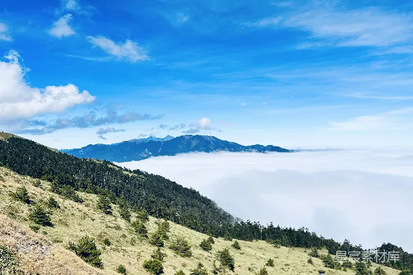 一片山间树影的风景