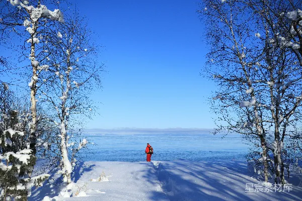 红色消防栓矗立在一片覆盖着白雪的森林中央。