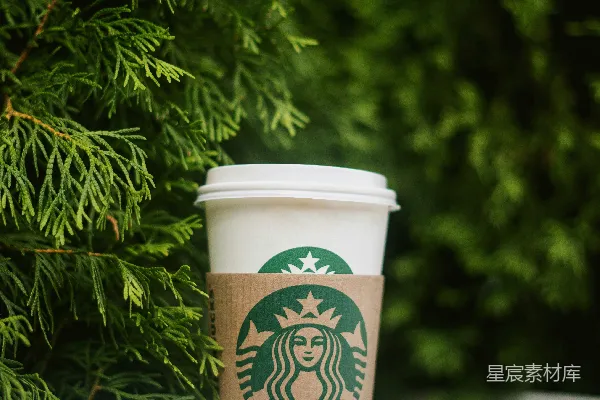 一只带绿叶的白色杯子