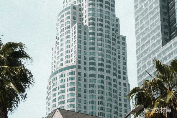 一座高大的白色建筑物紧挨着棕榈树。