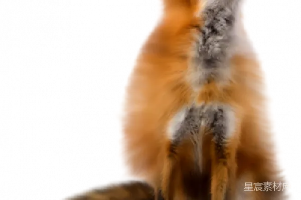 元素素材 PNG