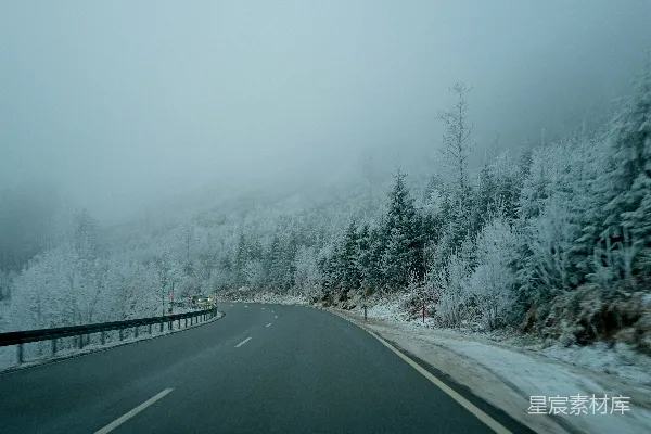 雪覆盖森林中的蜿蜒小路