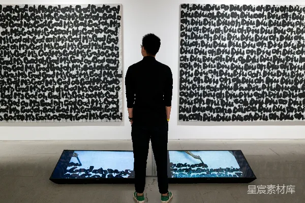 一个男人站在两幅画前