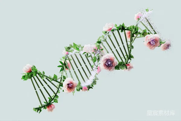 高清摄影 一束堆叠在一起的花。