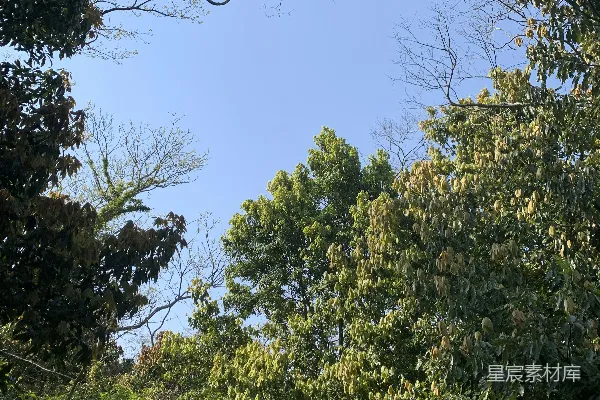 林间空地中的一个路标