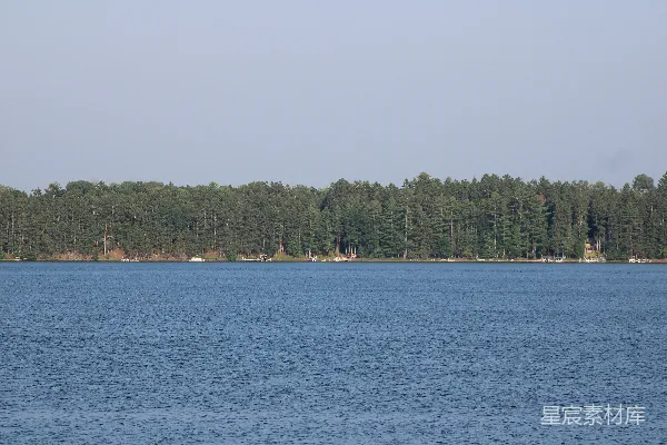 平静的湖面倒映着森林的岸线。