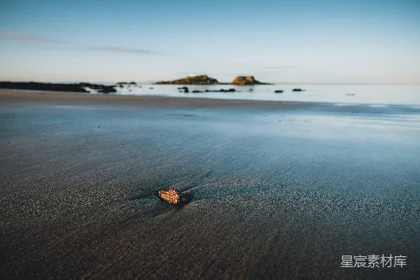 海滩上的沙粒中的石子