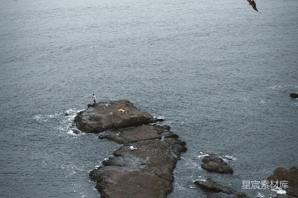 鸟类飞过岩石海岸和海洋。