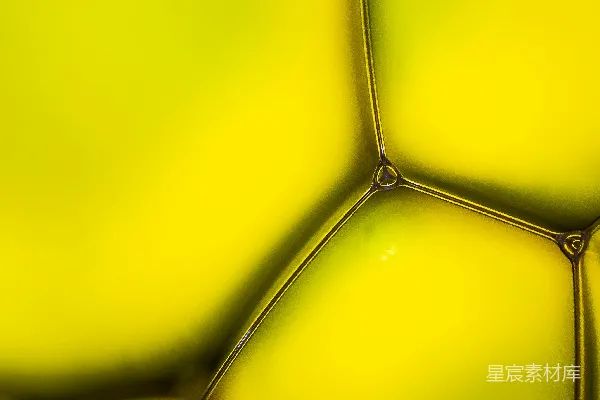 高清摄影 一个黄色花瓶的特写镜头