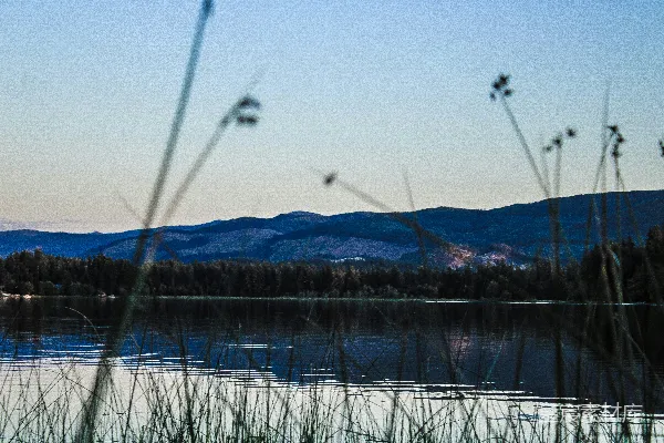 背景中有山的水域