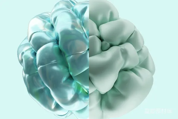 高清摄影 蓝白抽象有机形状在浅蓝色背景上
