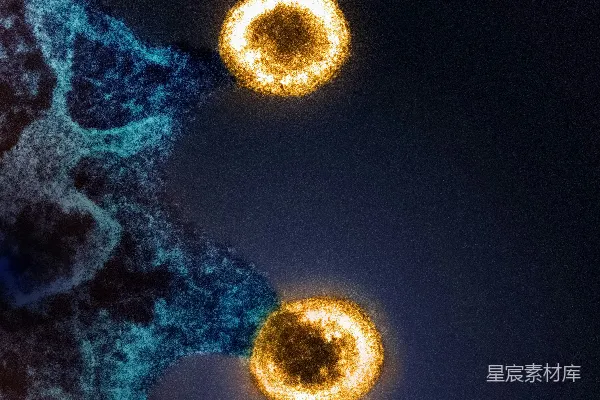 高清摄影 几个黄色的物体漂浮在水面上。
