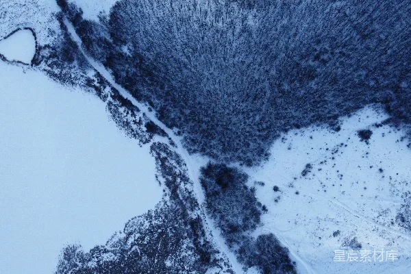 覆盖着白雪的森林全景
