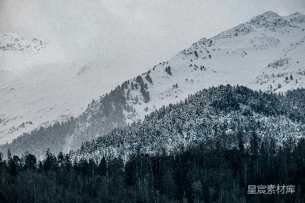高清摄影 覆盖着雪的山，前景中有树木。