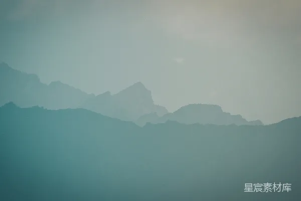 高清摄影 一张模糊的照片，展示了一只鸟在空中飞翔的场景。
