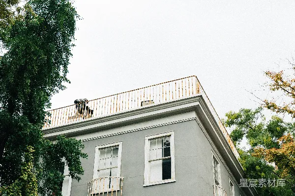 灰白色屋顶有阳台的建筑在白色的天空下