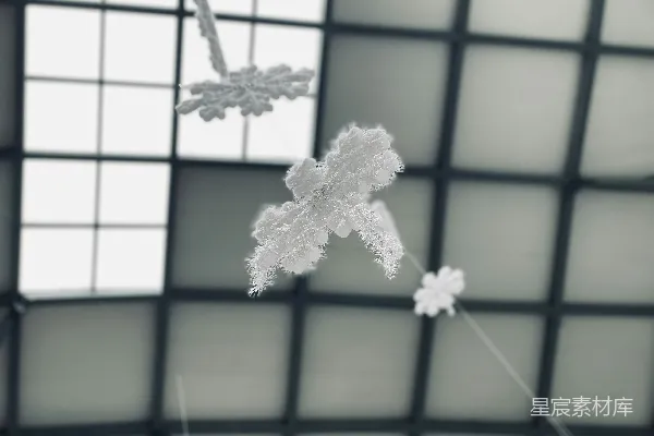 天花板上悬挂着雪花般的冰晶