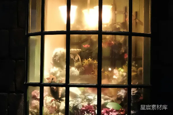 夜市花店橱窗展示