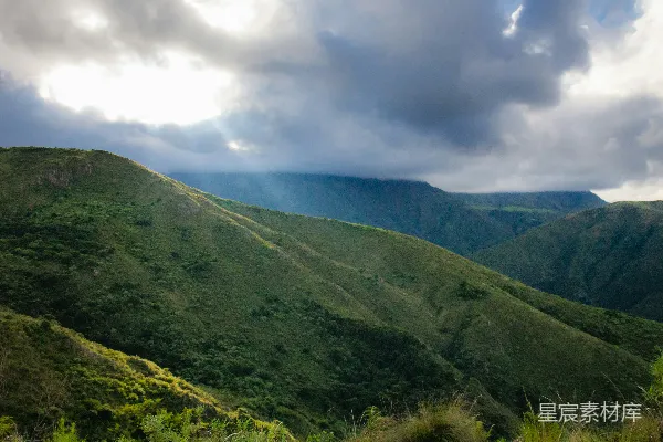 一片茂密的绿山坡，遍布树木。