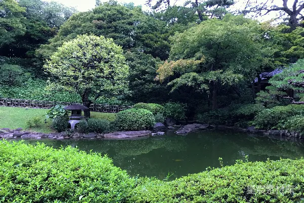 白天河边绿树环绕