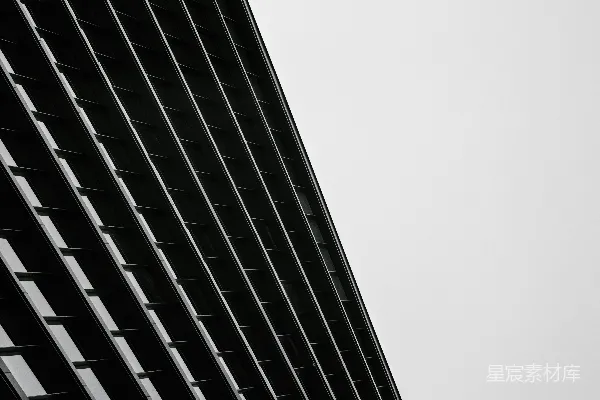 高清摄影 黑白相间的高层建筑