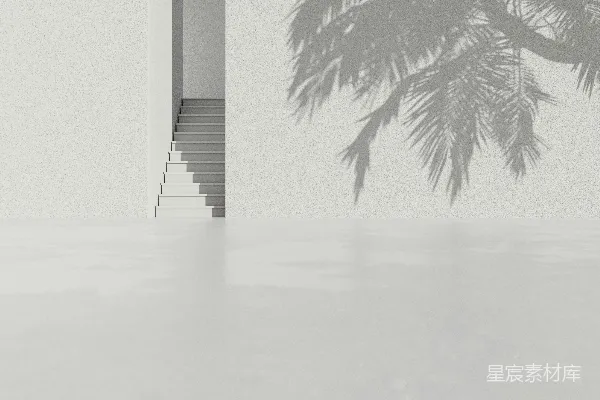 高清摄影 一个白色的房间，有楼梯和一棵棕榈树。