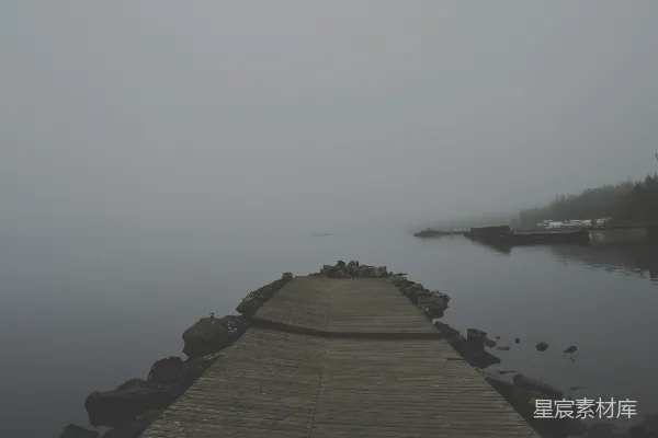 棕色牛蒡在白天