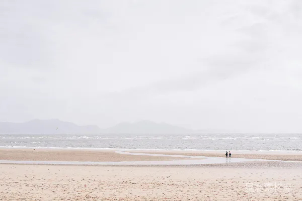 高清摄影 白天在海滩上行走的人