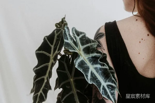 高清摄影 一个手臂上有纹身的女人