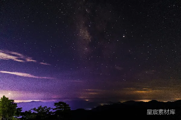 星夜下的树影轮廓